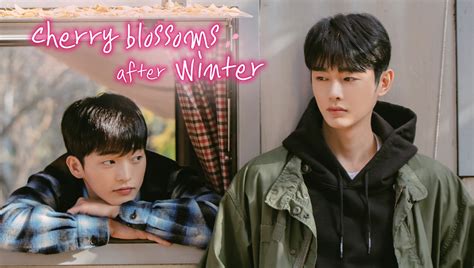 cherry blossom after winter|cherry blossom after winter ep 1 eng sub.